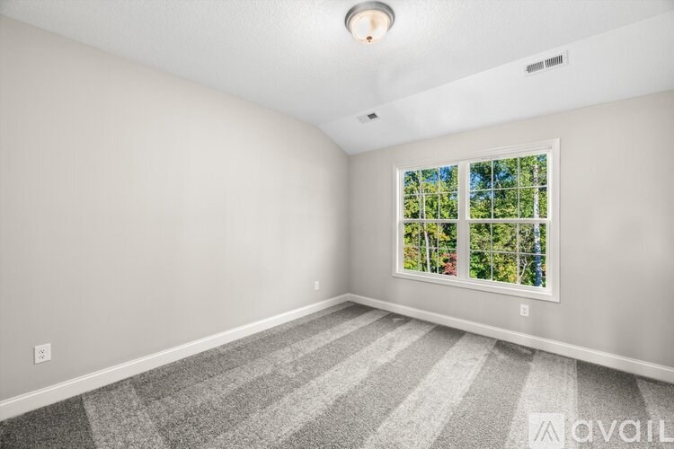 A room with a striped carpet and a window showing trees outside.