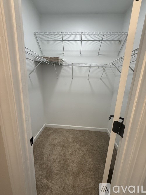 A white door with a handle is open to a room with a carpeted floor and empty shelves.