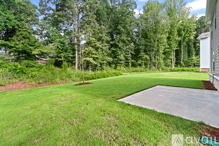 A backyard with a concrete slab and a shed.