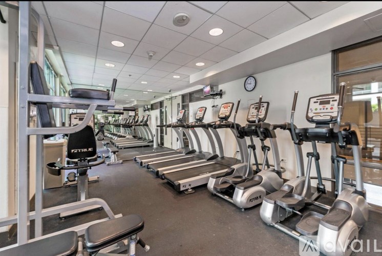 A gym with treadmills and elliptical machines.