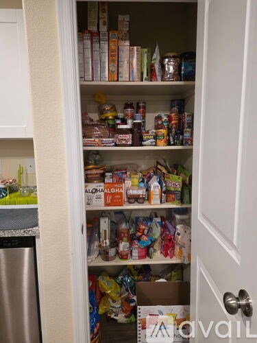 A kitchen pantry with a white door and a white cabinet.