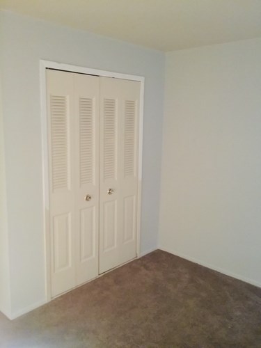 A white closet with a brown carpet.