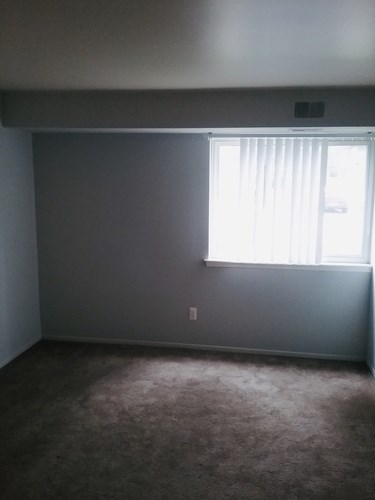 A room with a window and a carpet.