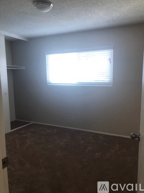 A room with a brown carpet and a window with blinds.