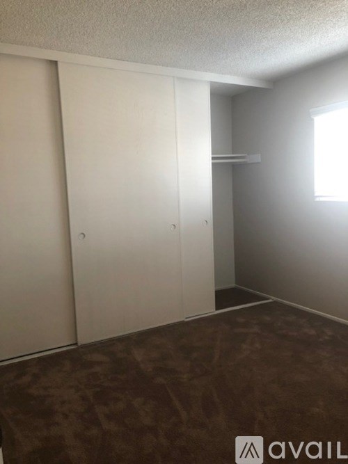 A room with a brown carpet and a white closet.