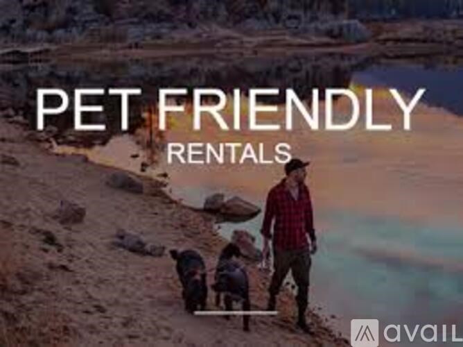 A man with a dog on a leash is walking along a beach.