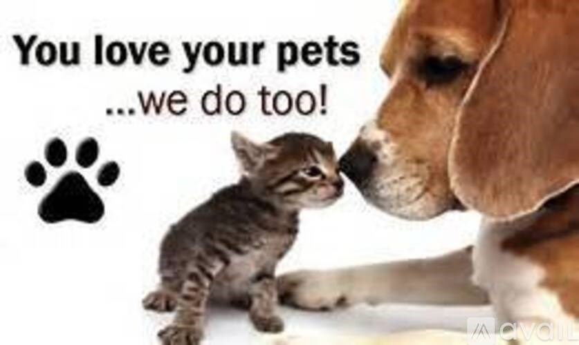 A dog and a cat are shown with a caption that reads "You love your pets ... we do too!"