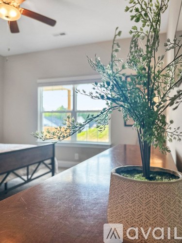 A room with a ceiling fan and a table with a plant on it.