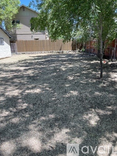 A backyard with a tree and a fence.