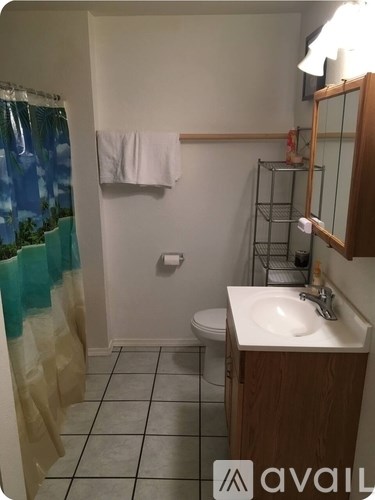 A bathroom with a toilet, sink, and shower curtain.