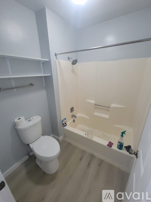 A white toilet sits next to a walk-in shower in a bathroom.