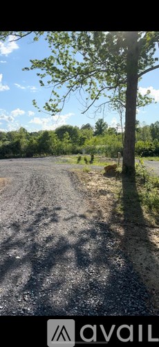 A tree stands alone in a field.