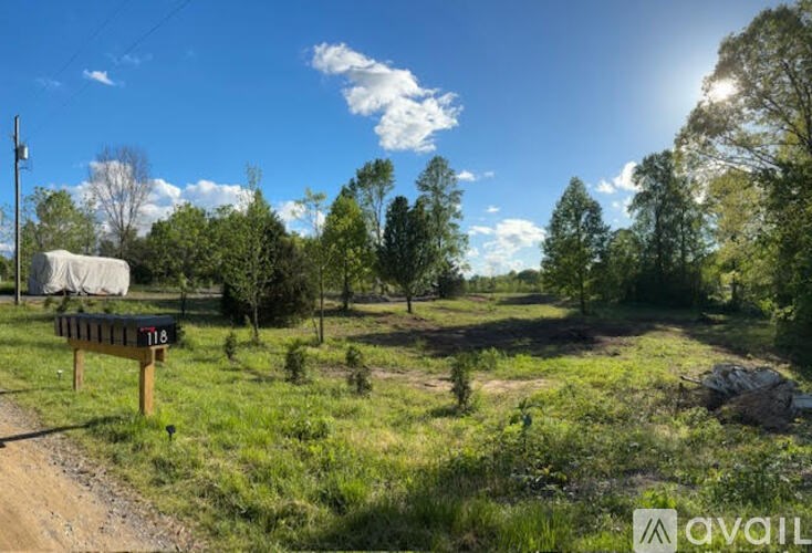 A rural landscape with a mailbox and a dirt road.