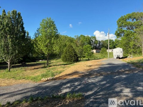 A gravel road leads to a house surrounded by trees.