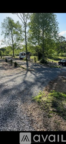 A gravel area with a tree and a car in the background.