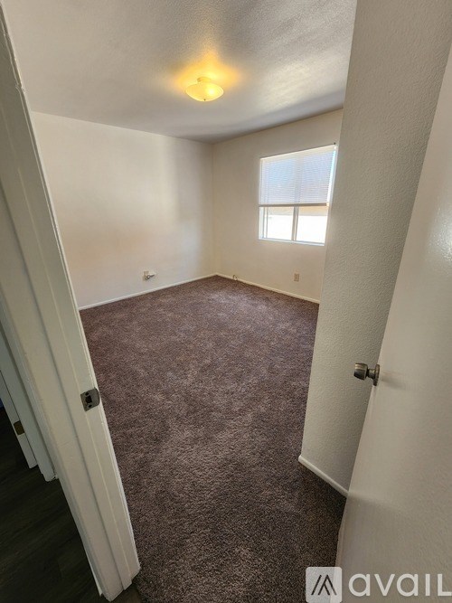 A room with a carpeted floor and a window.