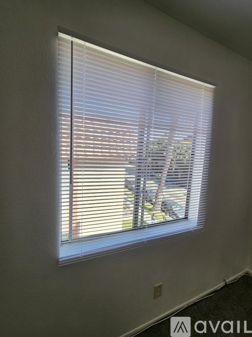 A window with blinds in a room with a carpeted floor.