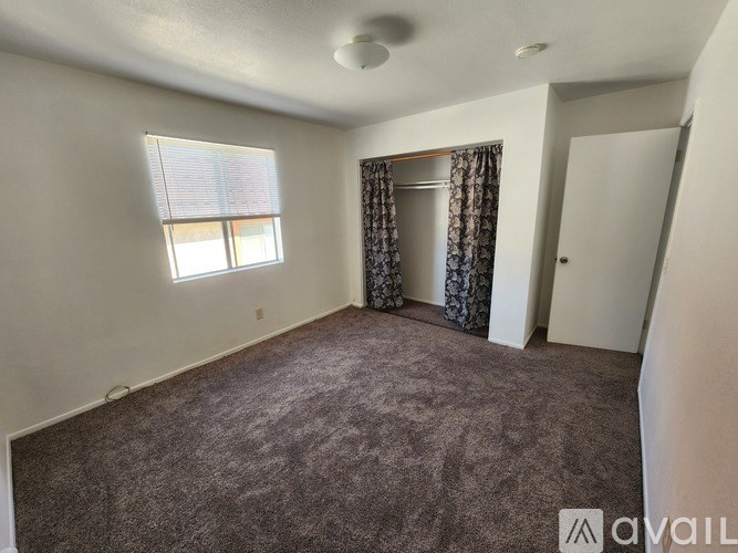 A room with a carpeted floor, a window with blinds, a curtain, and a door.