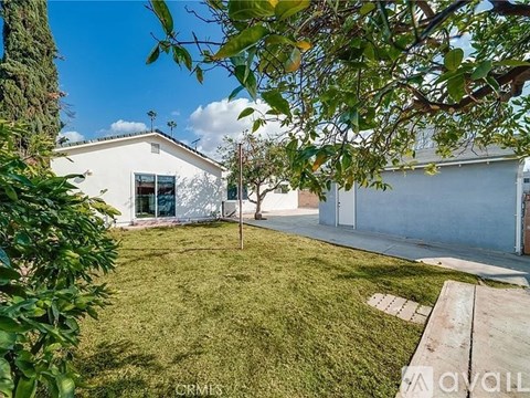 A backyard with a white house, green lawn, and a tree.