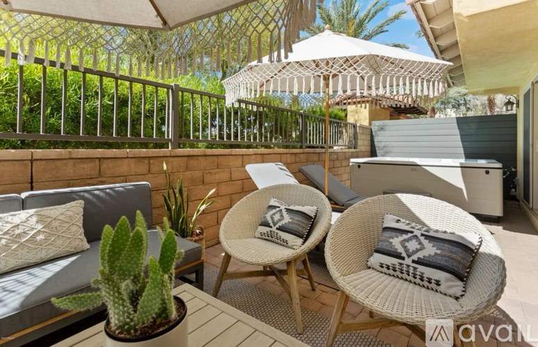 A patio with two chairs and a cactus plant.