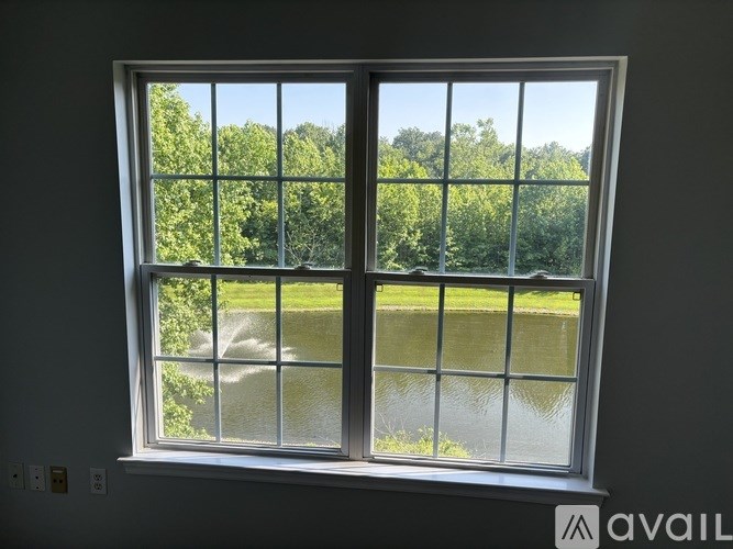 A window with a view of a river and trees.