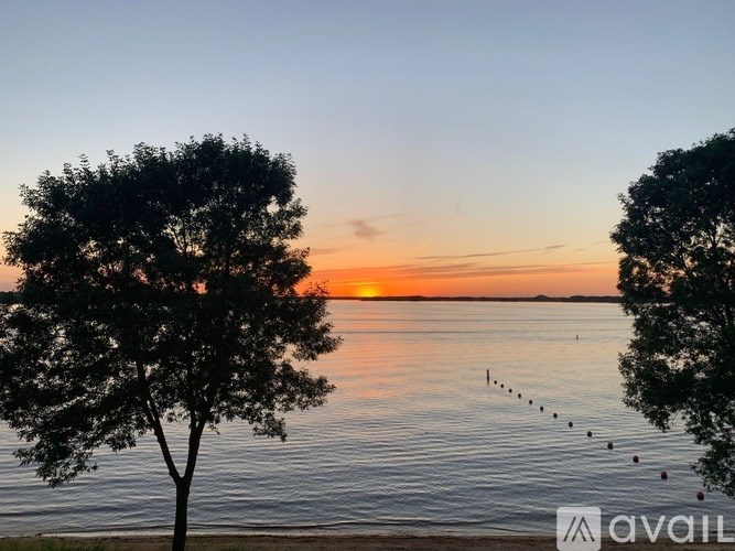 A tree stands in front of a body of water with a sunset in the background.