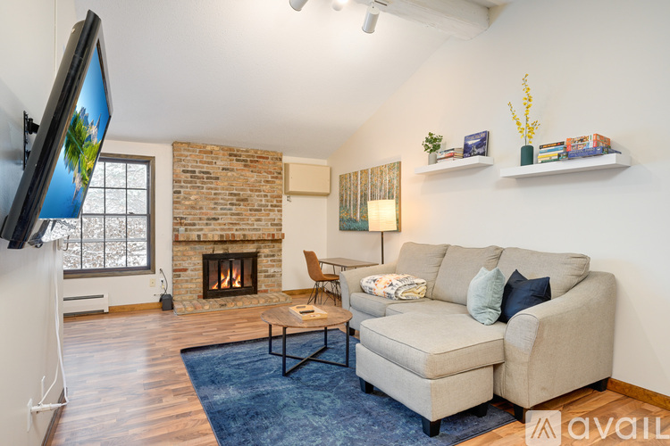 A living room with a couch, a fireplace, and a television.