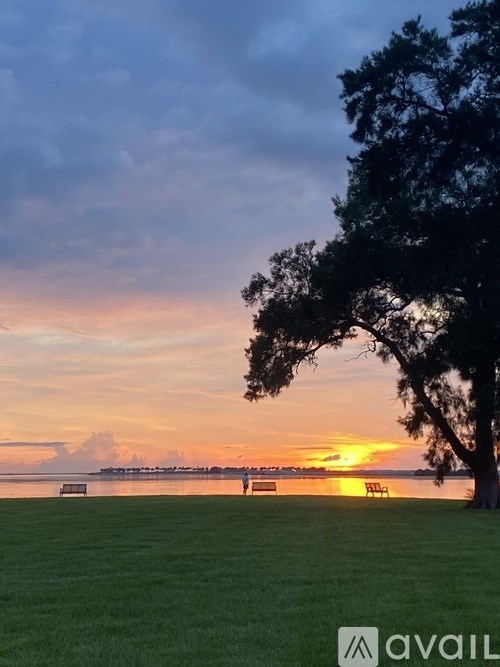 A tree stands in the foreground of a sunset over a body of water.