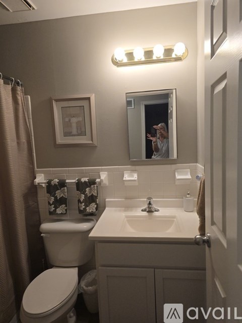 A bathroom with a toilet, sink, mirror, and a picture on the wall.