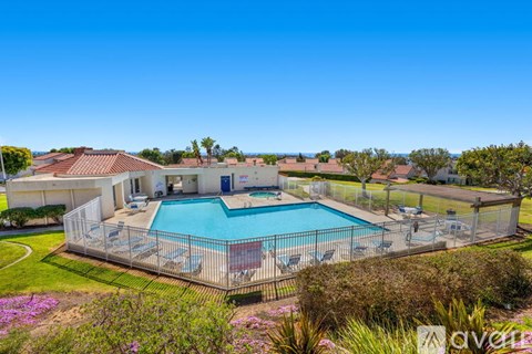 A large backyard with a pool and a house.