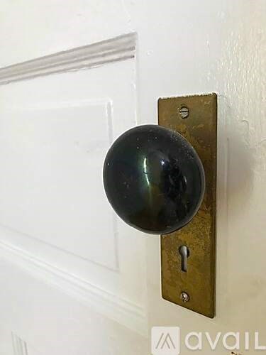 A black door knob on a white door.