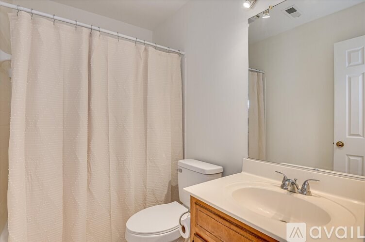 A bathroom with a toilet, sink, and shower curtain.