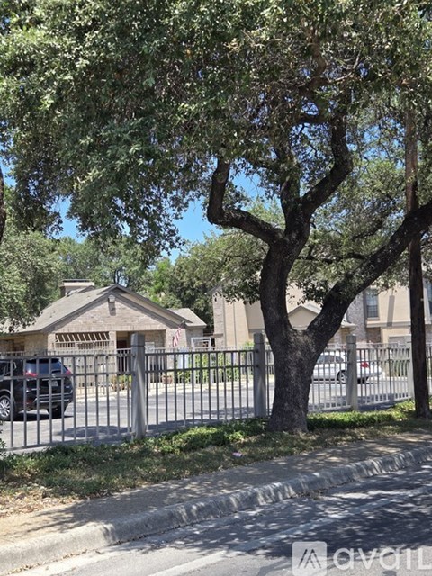 A tree in front of a house with a fence.