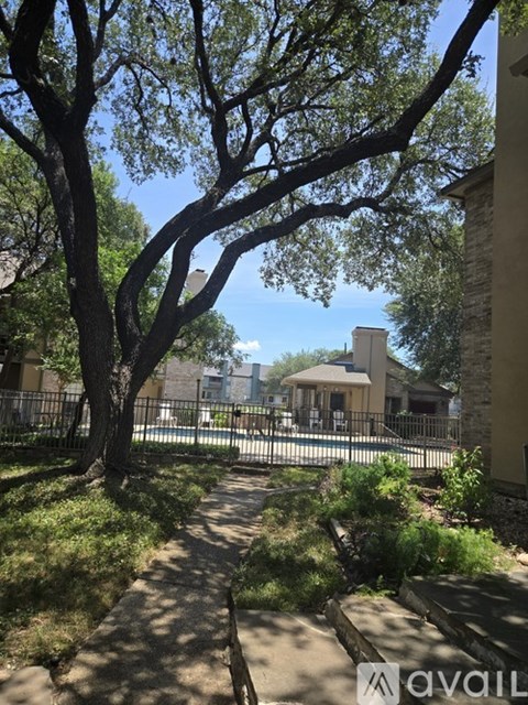 A tree in a sunny area with a house in the background.