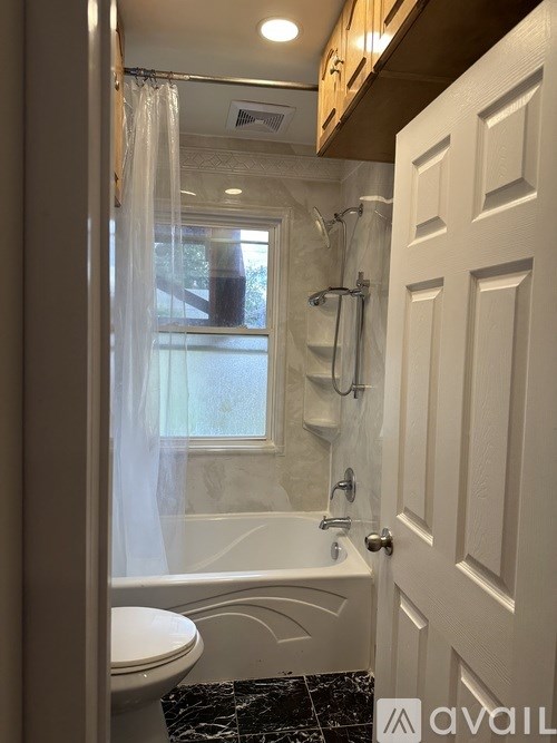 A bathroom with a toilet, a bathtub, and a shower curtain.