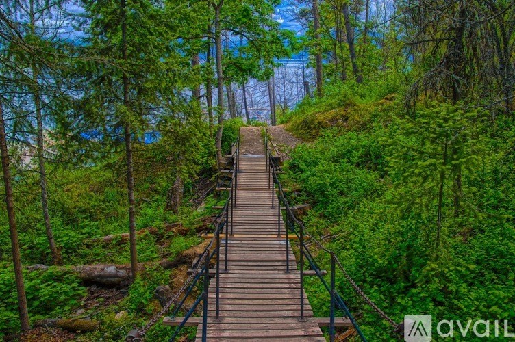 A wooden boardwalk leads through a lush green forest.