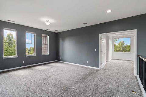 A spacious room with grey walls and carpeted floor.