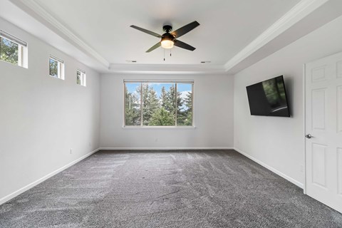 A room with a ceiling fan and a window overlooking trees.