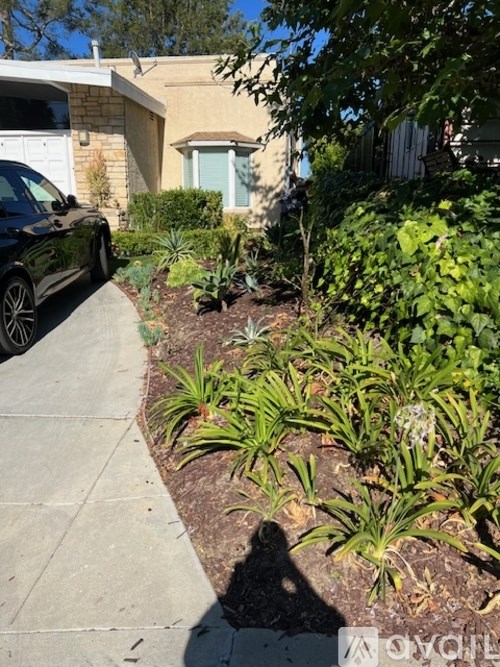 A black car is parked on a driveway next to a house.