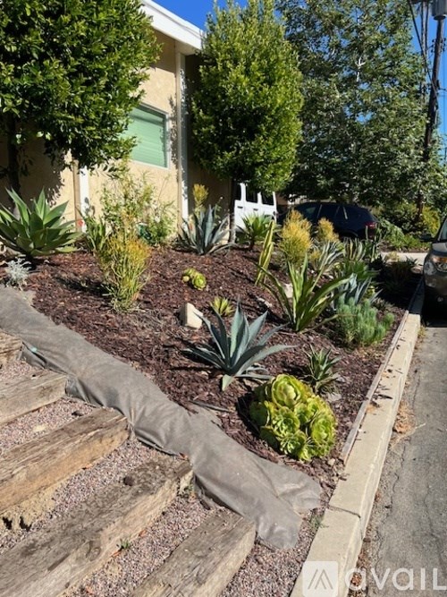 A garden with a variety of plants and a grey tarp on the ground.