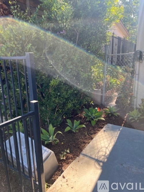A garden with a fence and plants.