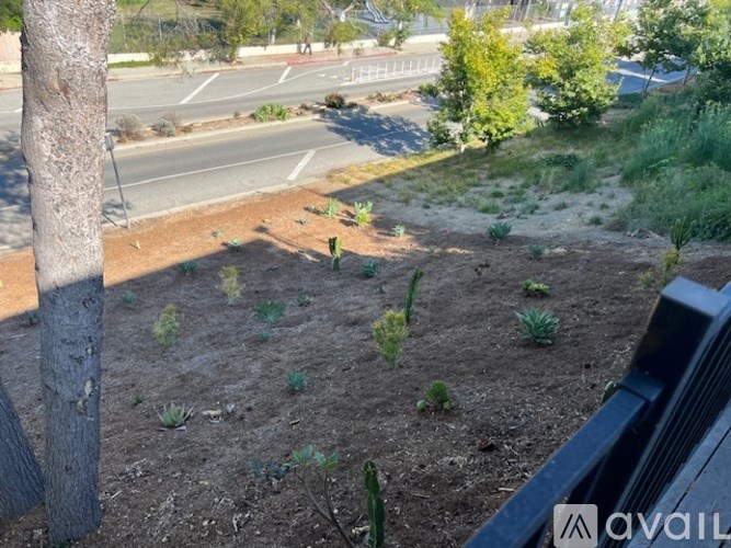 A tree trunk is on the left side of the image.