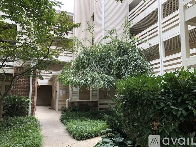 A tree in front of a building with a sign that says "AVAIL".