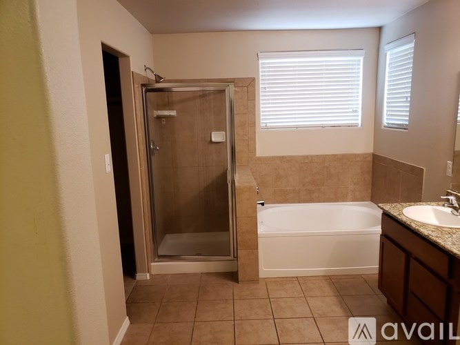 A bathroom with a walk-in shower and a bathtub.