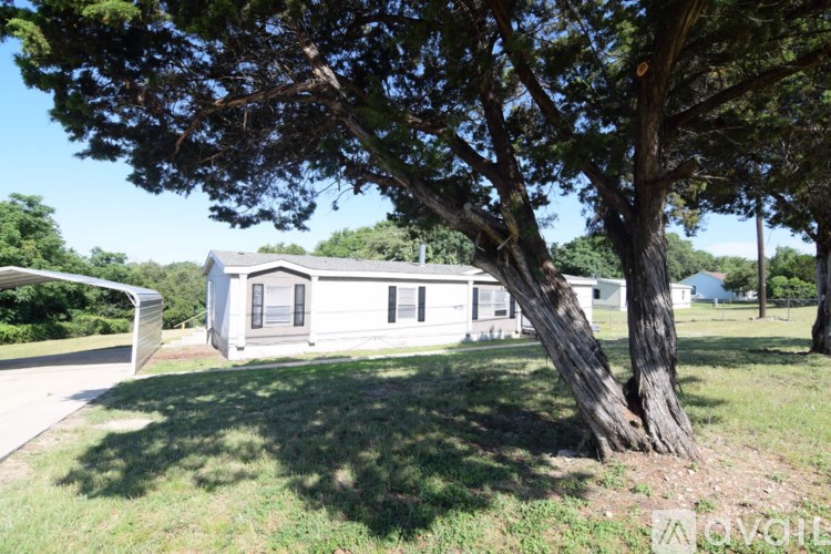 A tree in a yard with a house in the background.