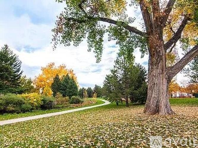A tree with green and yellow leaves stands in a field of fallen leaves.