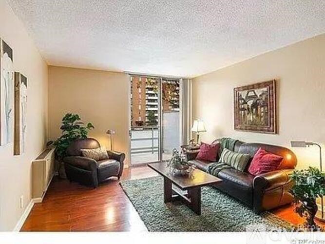 A living room with a black couch and a green rug.