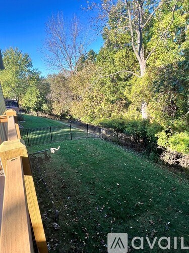 A backyard with a wooden fence and a green lawn.