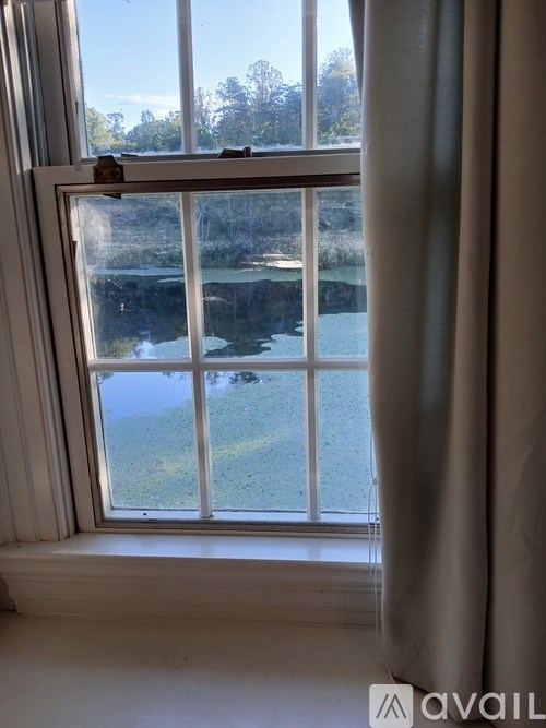 A window with a view of a green landscape outside.
