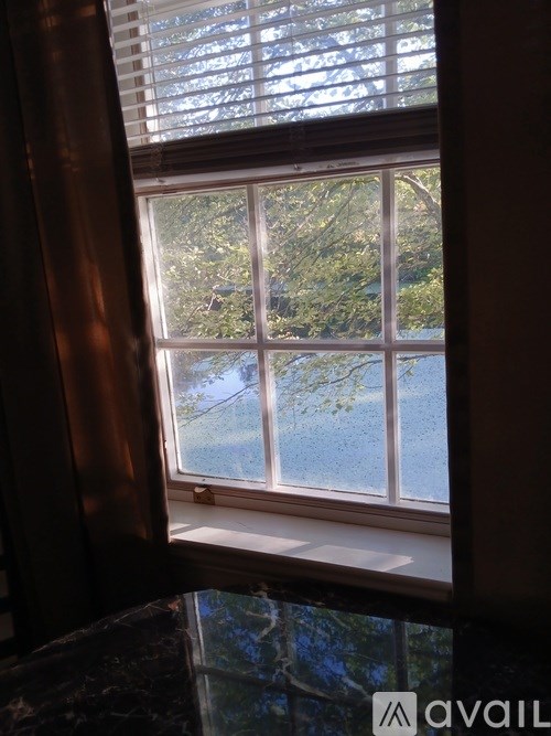 A window with blinds and a view of trees outside.